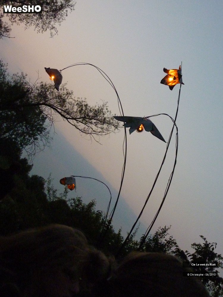 5/38 photos du spectacle R-Elémentaire