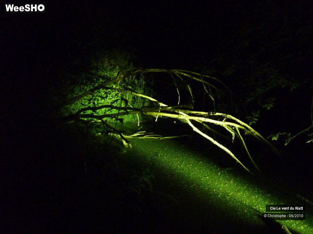 19/38 photos du spectacle R-Elémentaire