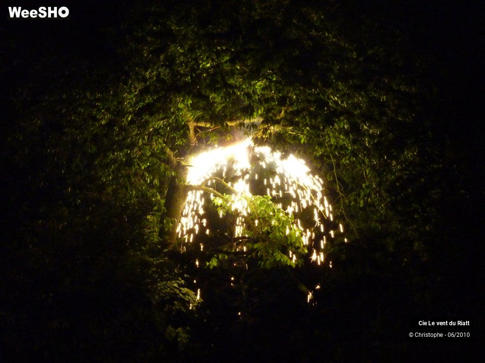 21/38 photos du spectacle R-Elémentaire