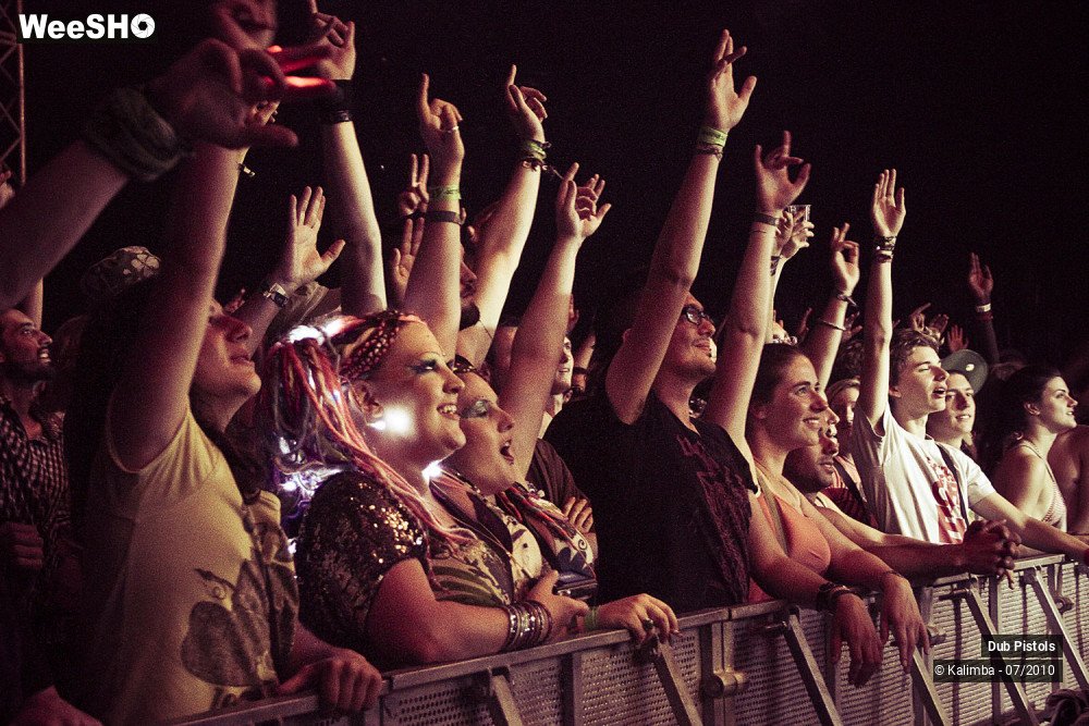11/30 photos du spectacle Dub Pistols