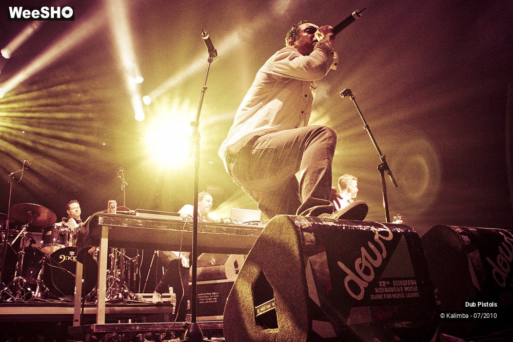 13/30 photos du spectacle Dub Pistols