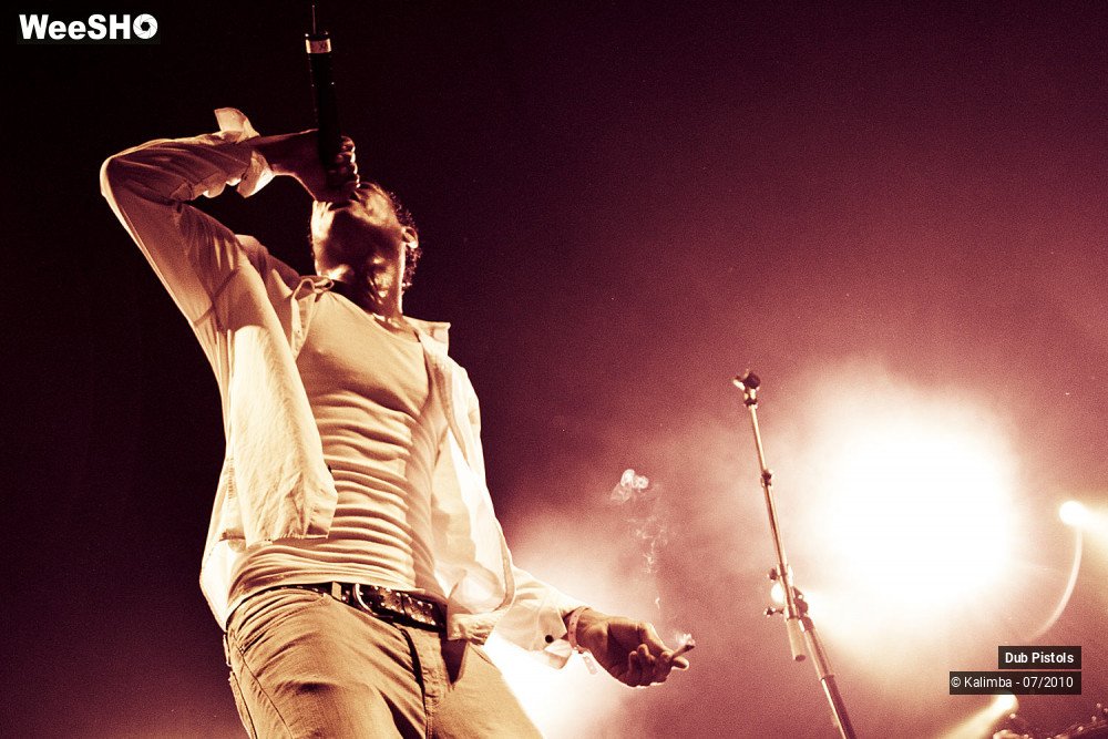 20/30 photos du spectacle Dub Pistols