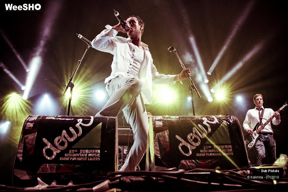 22/30 photos du spectacle Dub Pistols