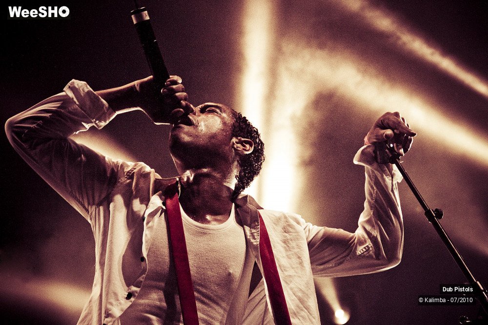 25/30 photos du spectacle Dub Pistols