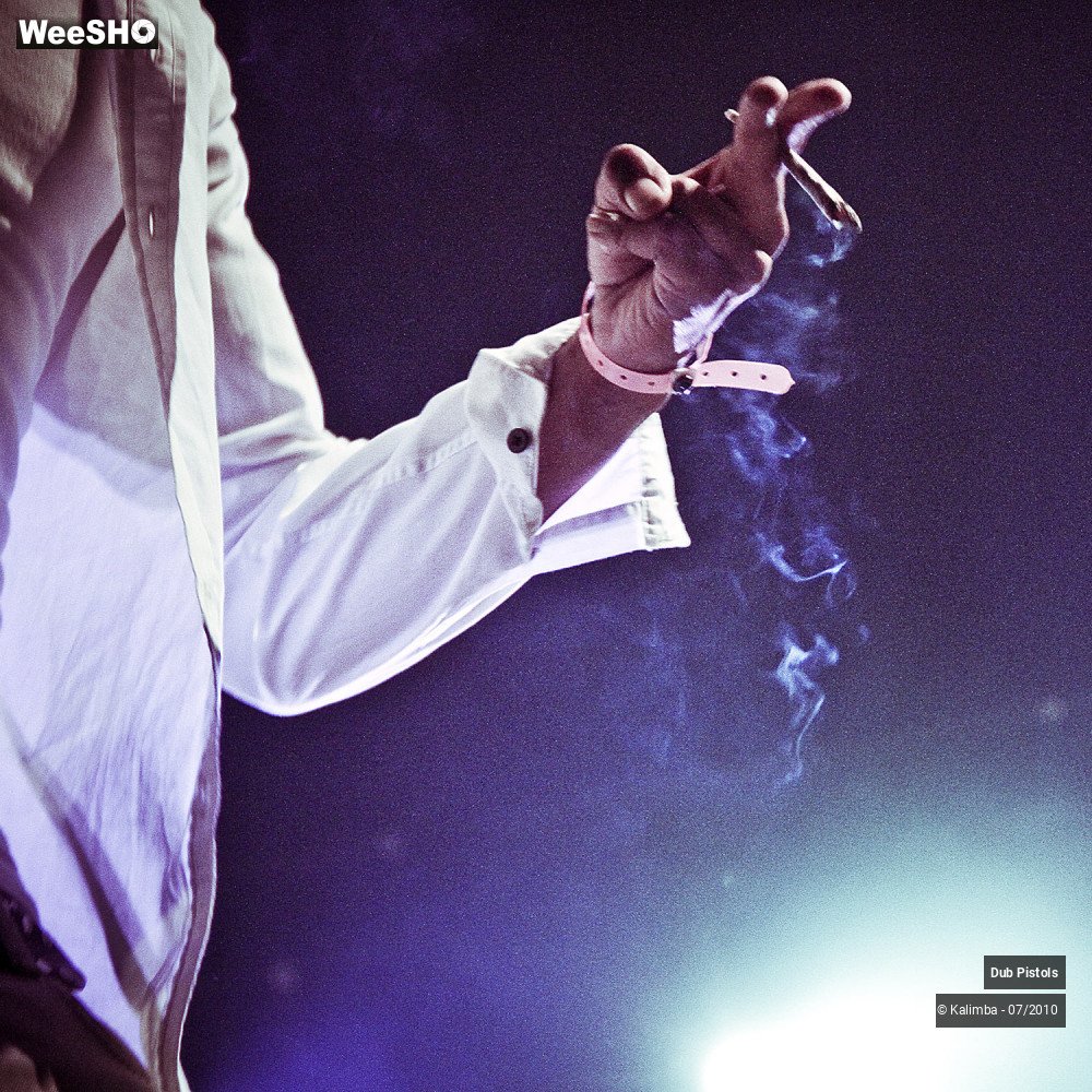 30/30 photos du spectacle Dub Pistols