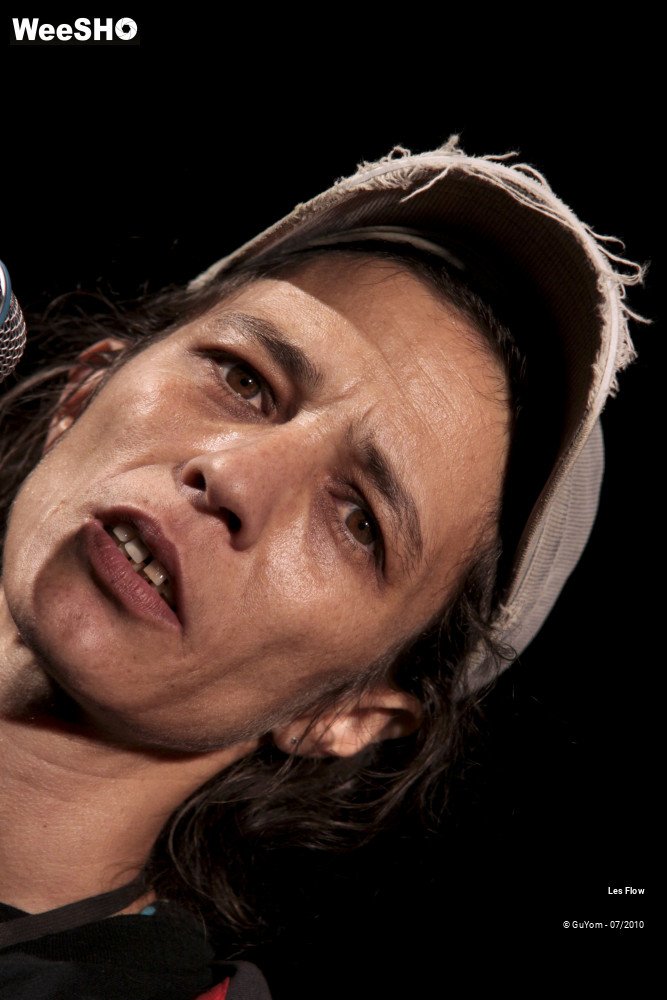 1/50 photos du spectacle Les Flow