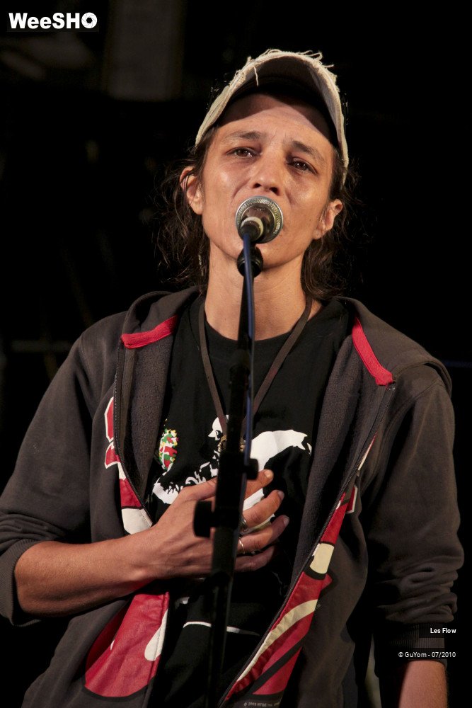 2/50 photos du spectacle Les Flow