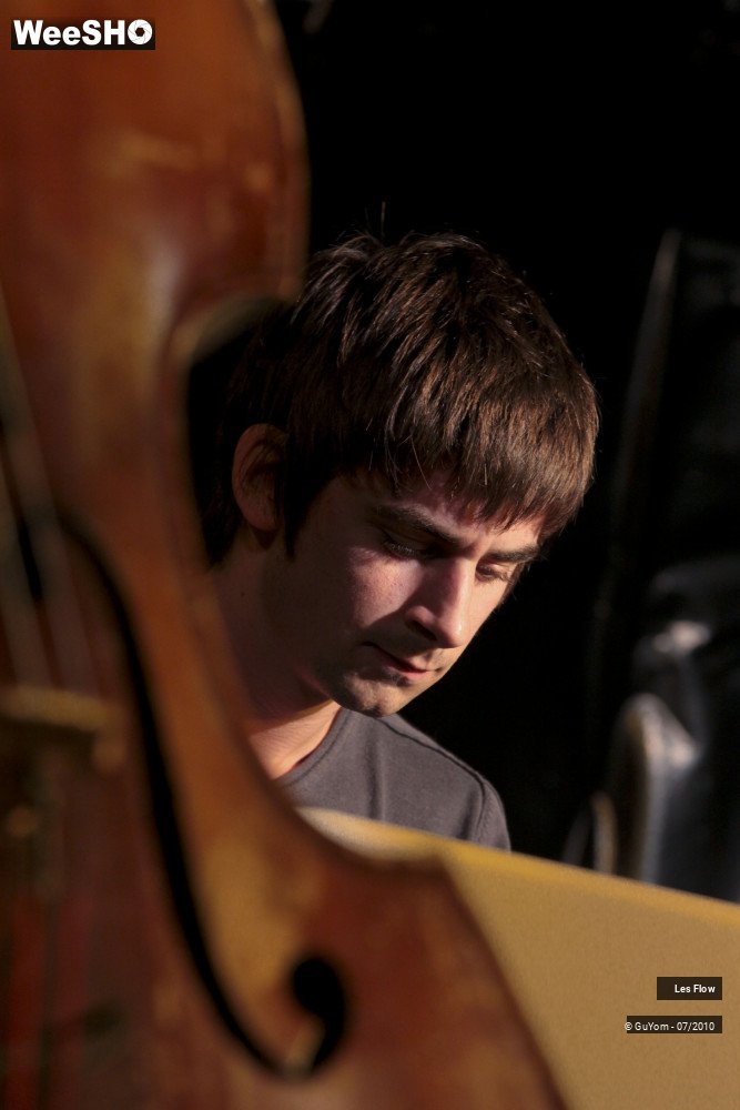 6/50 photos du spectacle Les Flow