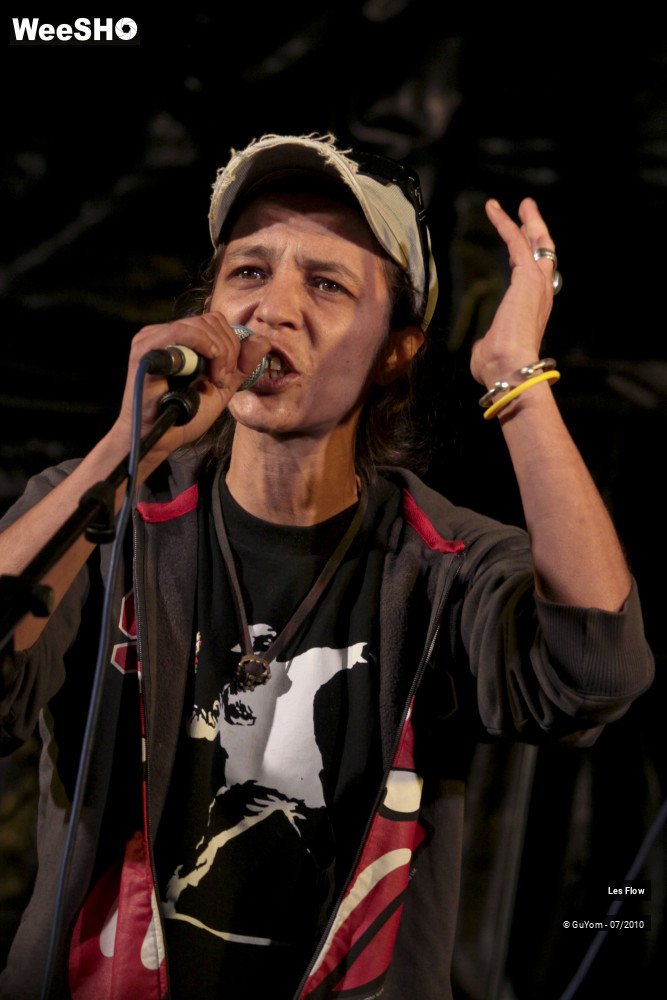 12/50 photos du spectacle Les Flow