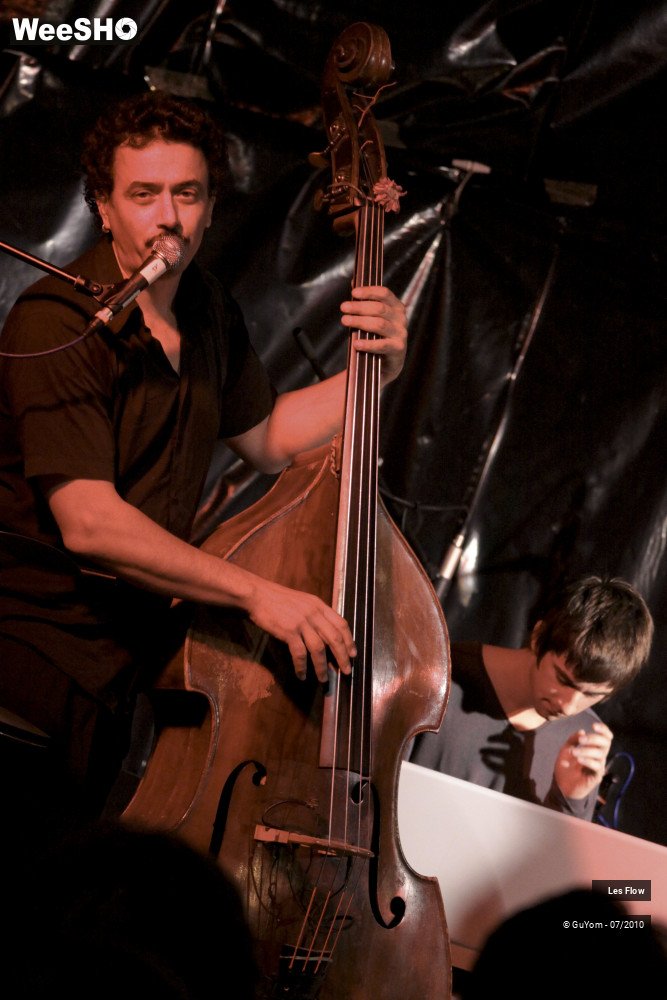 13/50 photos du spectacle Les Flow