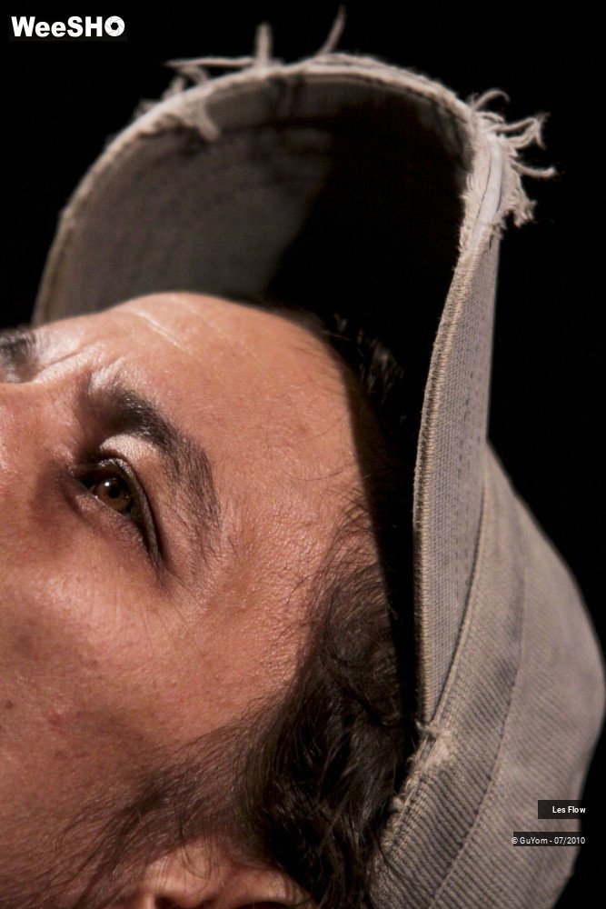 14/50 photos du spectacle Les Flow