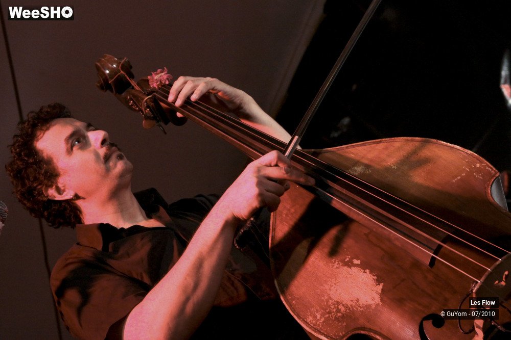 16/50 photos du spectacle Les Flow