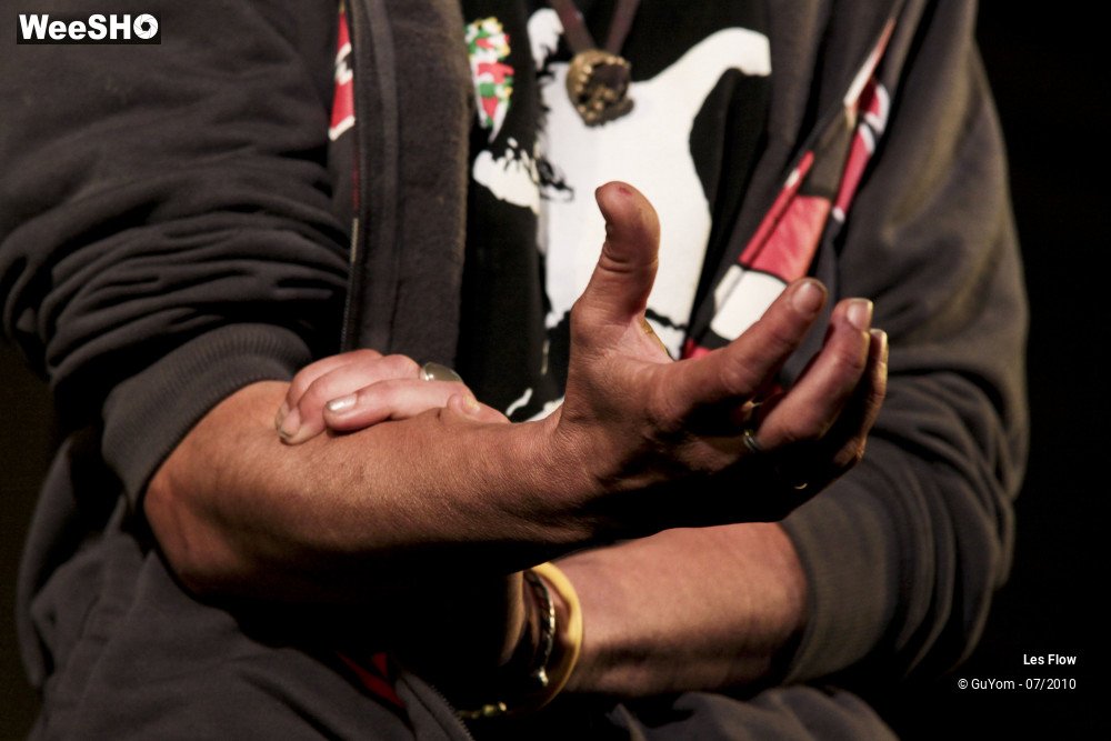 17/50 photos du spectacle Les Flow