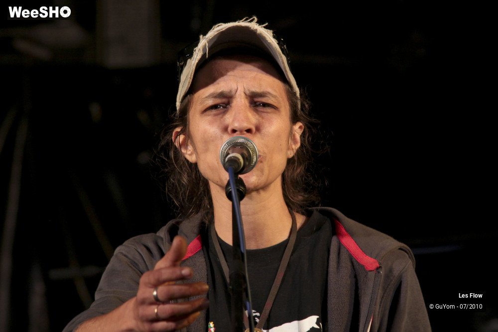 19/50 photos du spectacle Les Flow