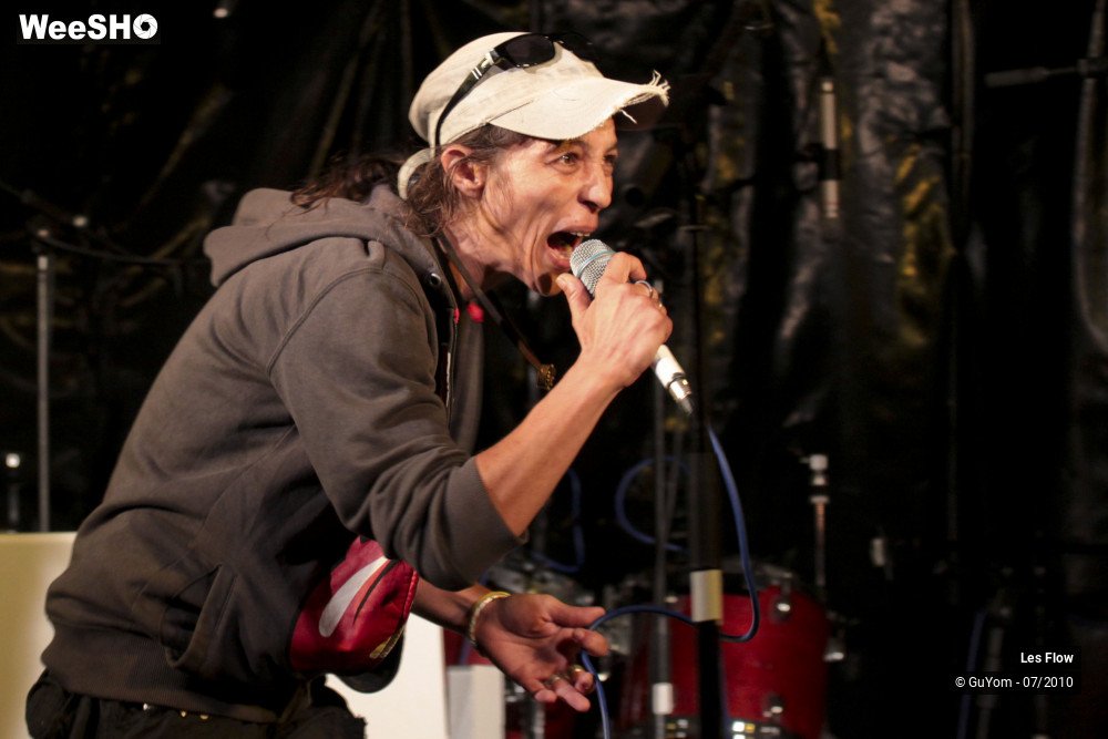 24/50 photos du spectacle Les Flow