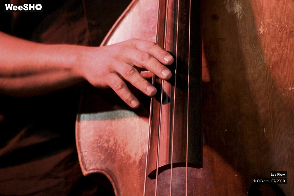 26/50 photos du spectacle Les Flow