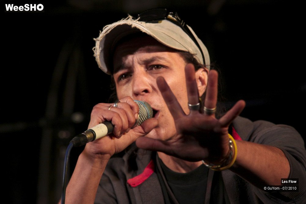 28/50 photos du spectacle Les Flow