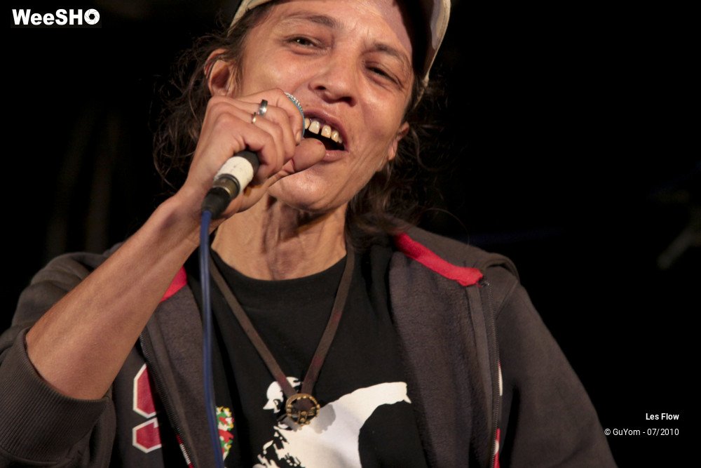 30/50 photos du spectacle Les Flow