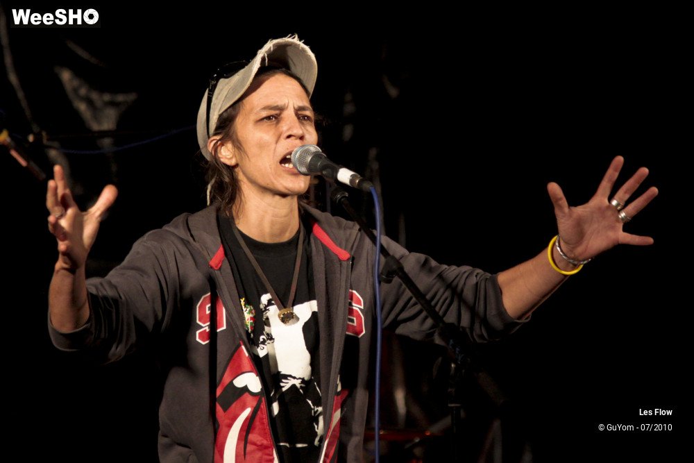 32/50 photos du spectacle Les Flow