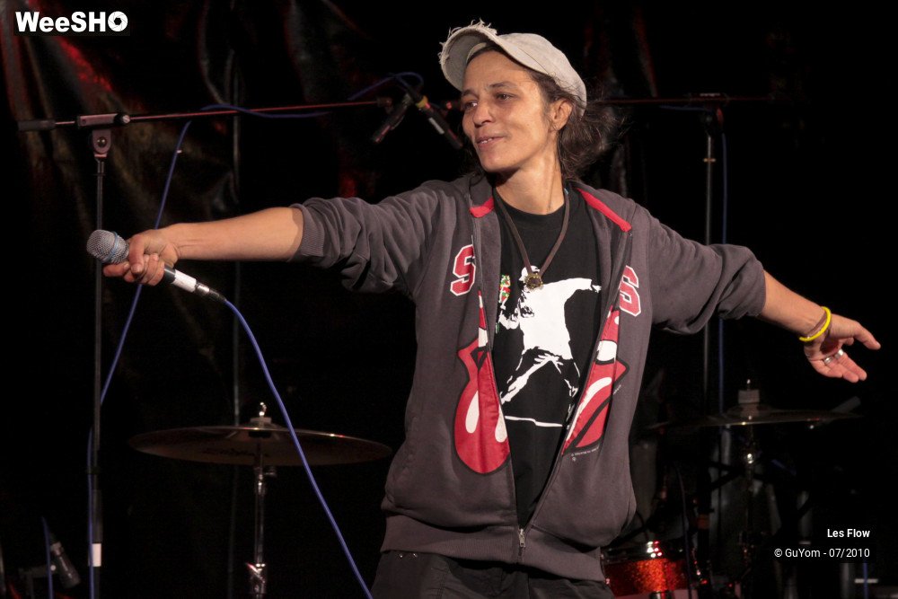 34/50 photos du spectacle Les Flow