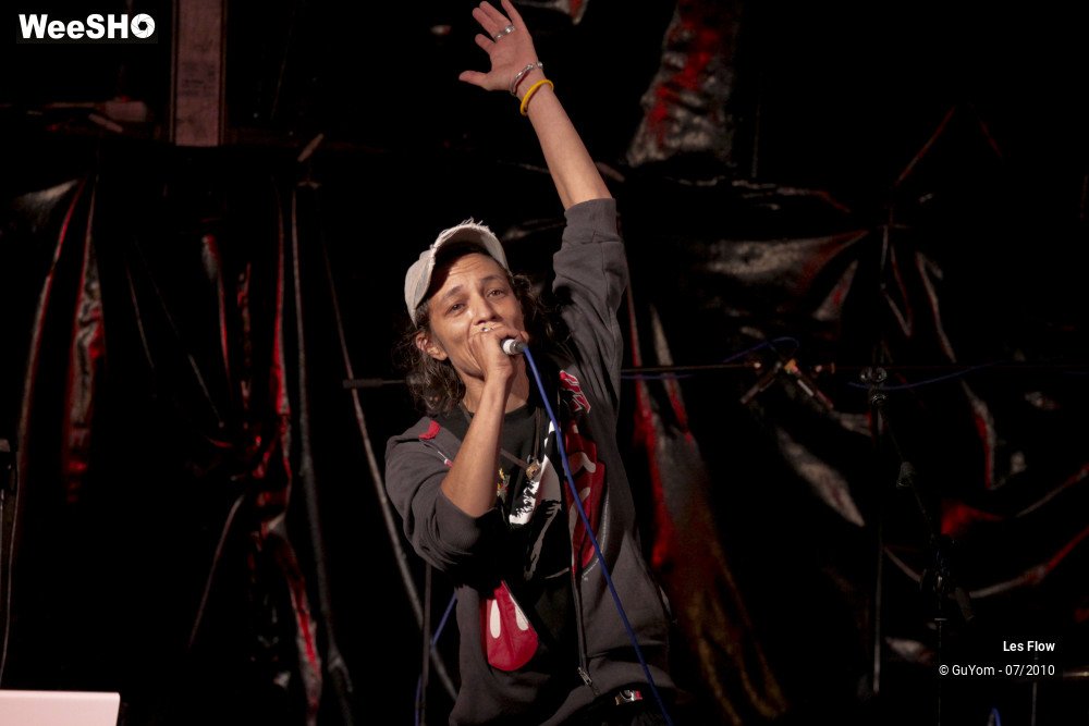 36/50 photos du spectacle Les Flow