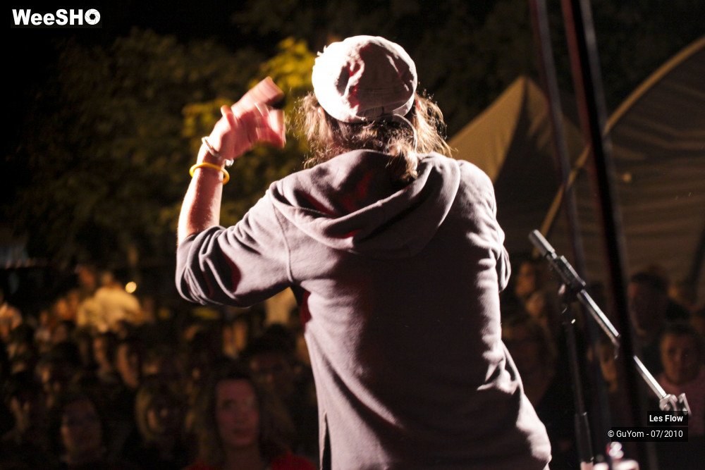 39/50 photos du spectacle Les Flow