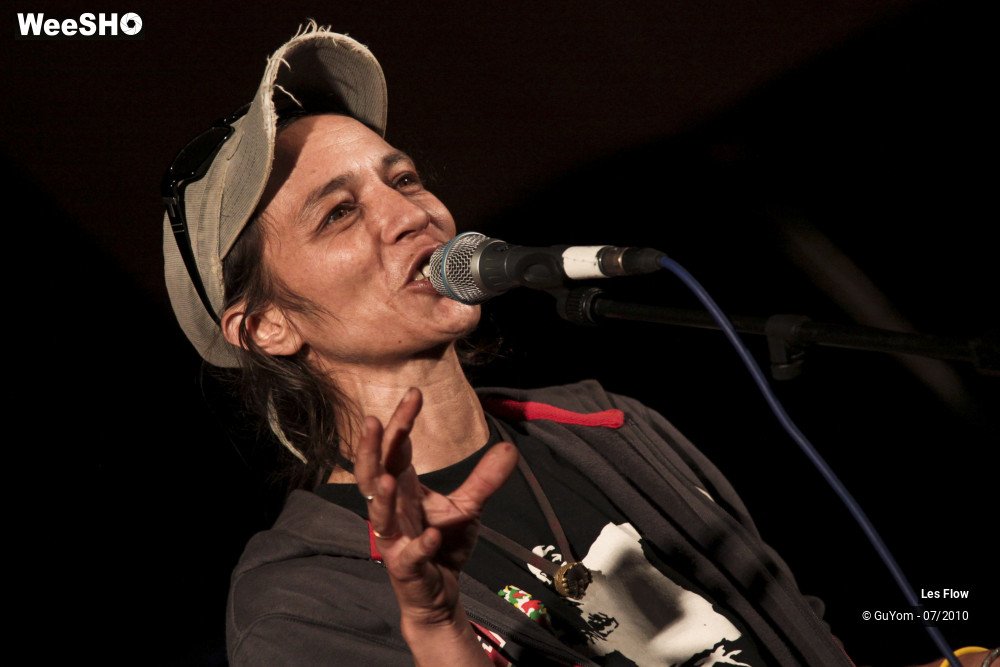 46/50 photos du spectacle Les Flow