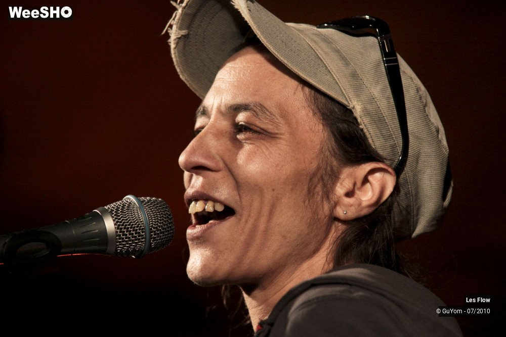 49/50 photos du spectacle Les Flow