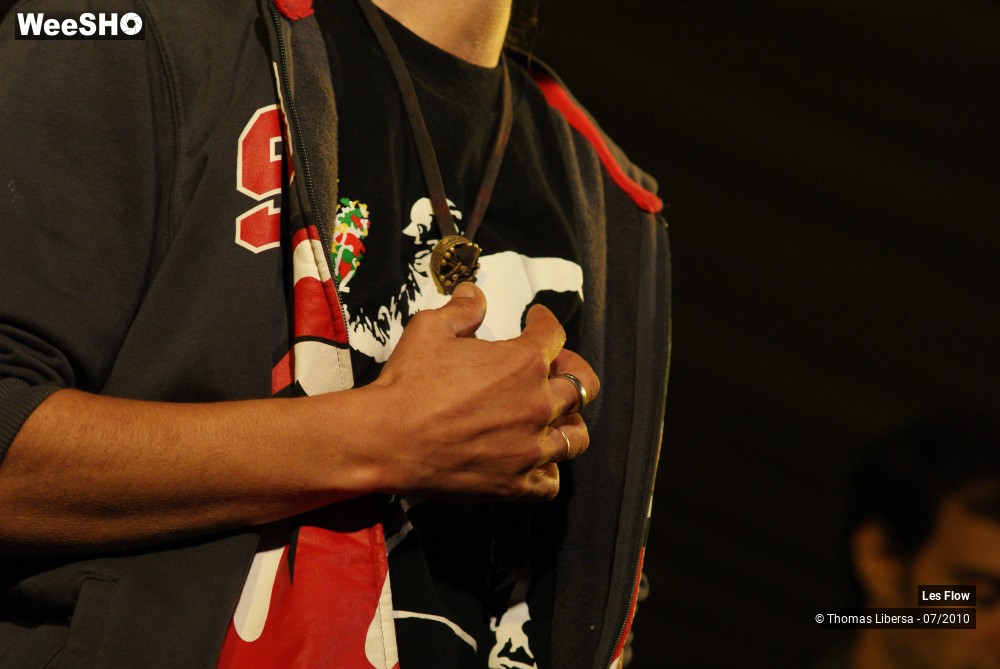 8/27 photos du spectacle Les Flow