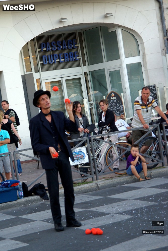 1/35 photos du spectacle Hippo