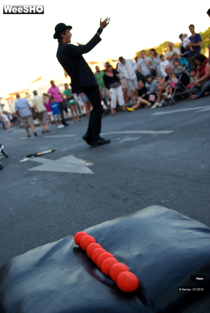7/35 photos du spectacle Hippo