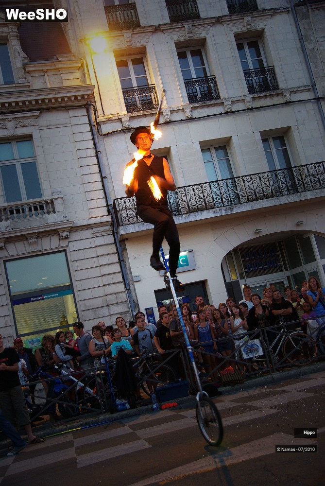 8/35 photos du spectacle Hippo