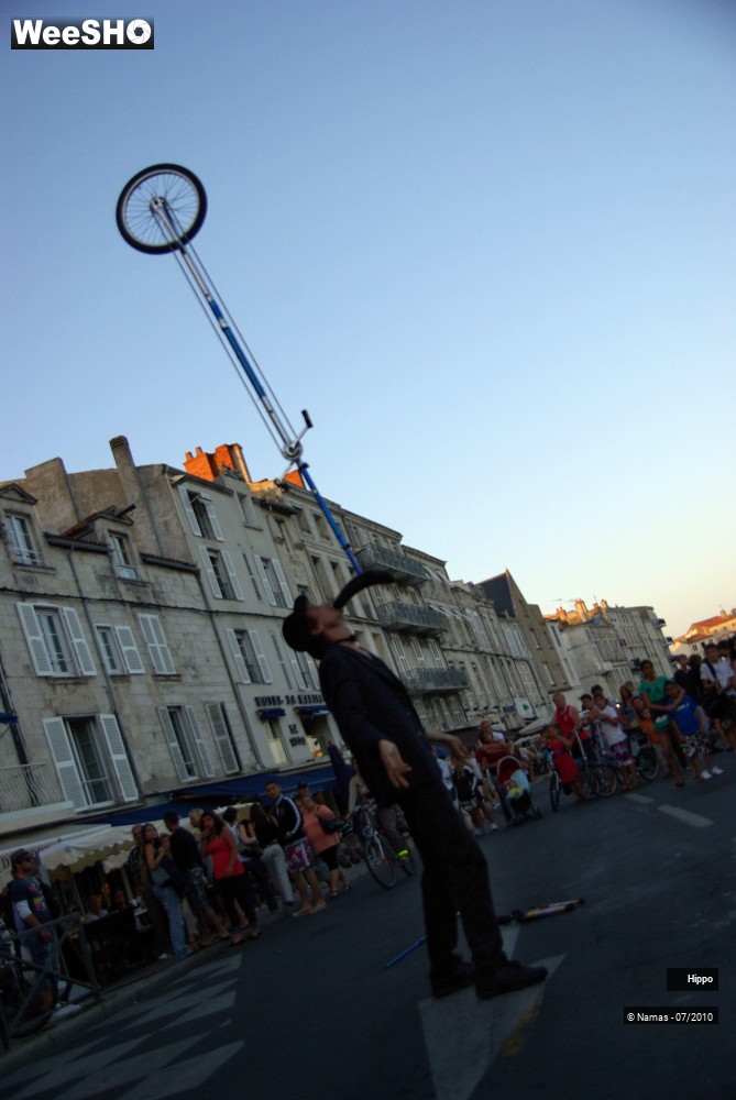 10/35 photos du spectacle Hippo