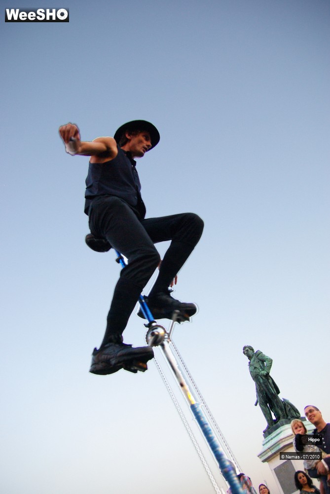 11/35 photos du spectacle Hippo