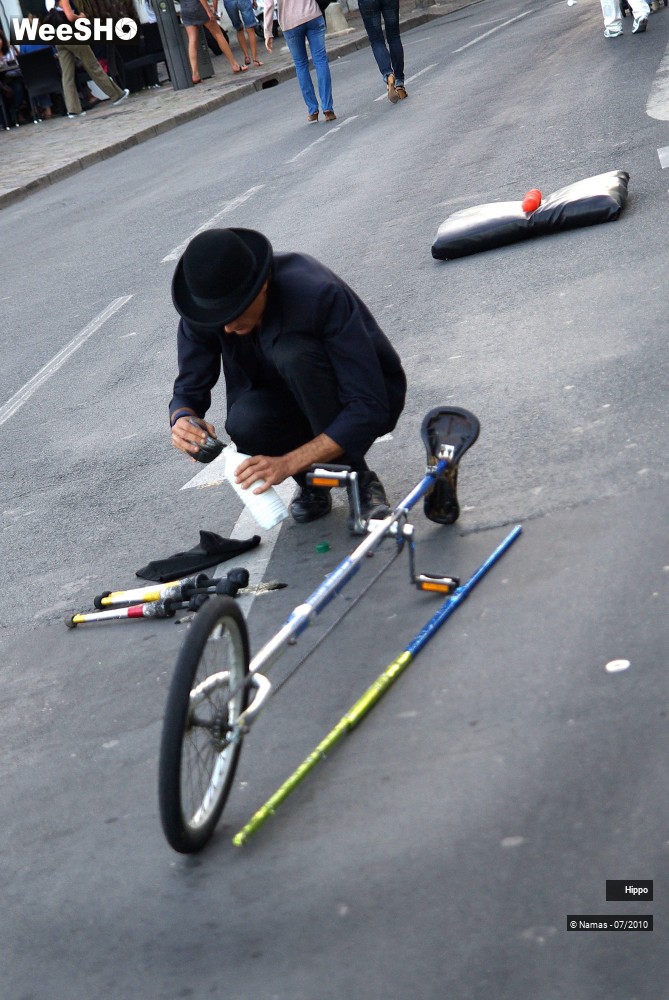 14/35 photos du spectacle Hippo