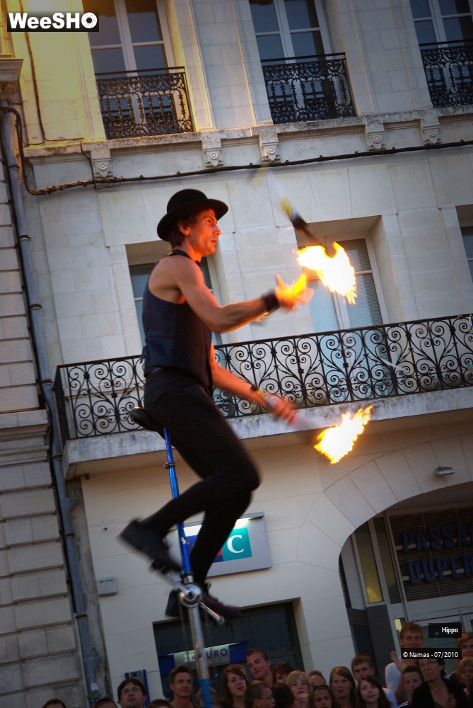 15/35 photos du spectacle Hippo