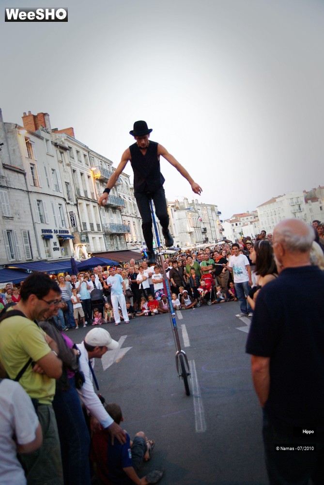 16/35 photos du spectacle Hippo