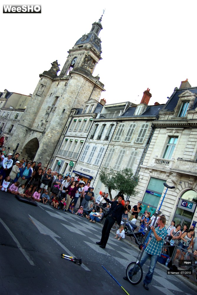 18/35 photos du spectacle Hippo