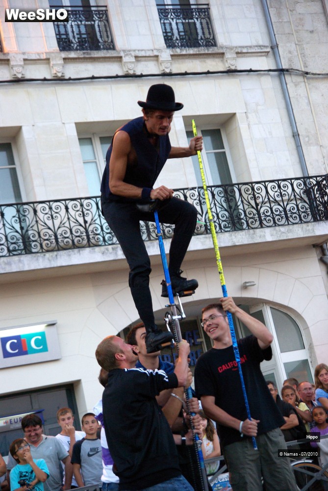 19/35 photos du spectacle Hippo