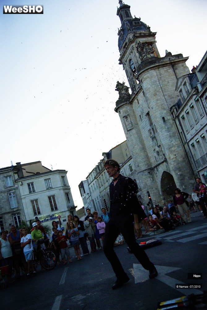 20/35 photos du spectacle Hippo