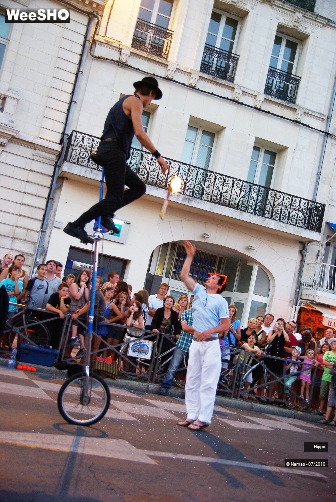 21/35 photos du spectacle Hippo