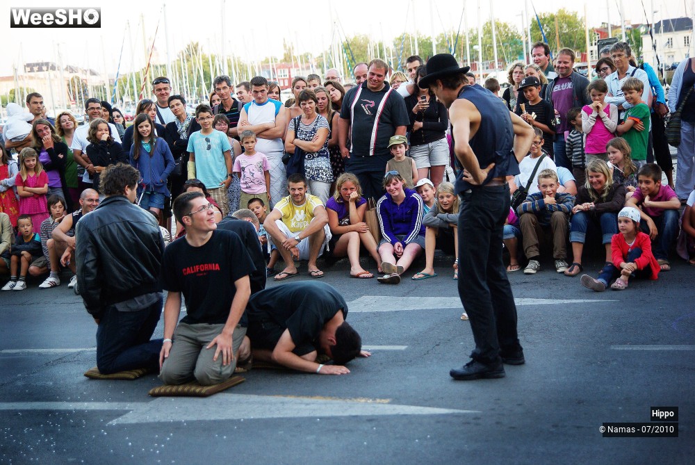 25/35 photos du spectacle Hippo