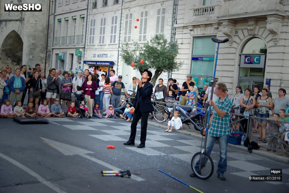 26/35 photos du spectacle Hippo