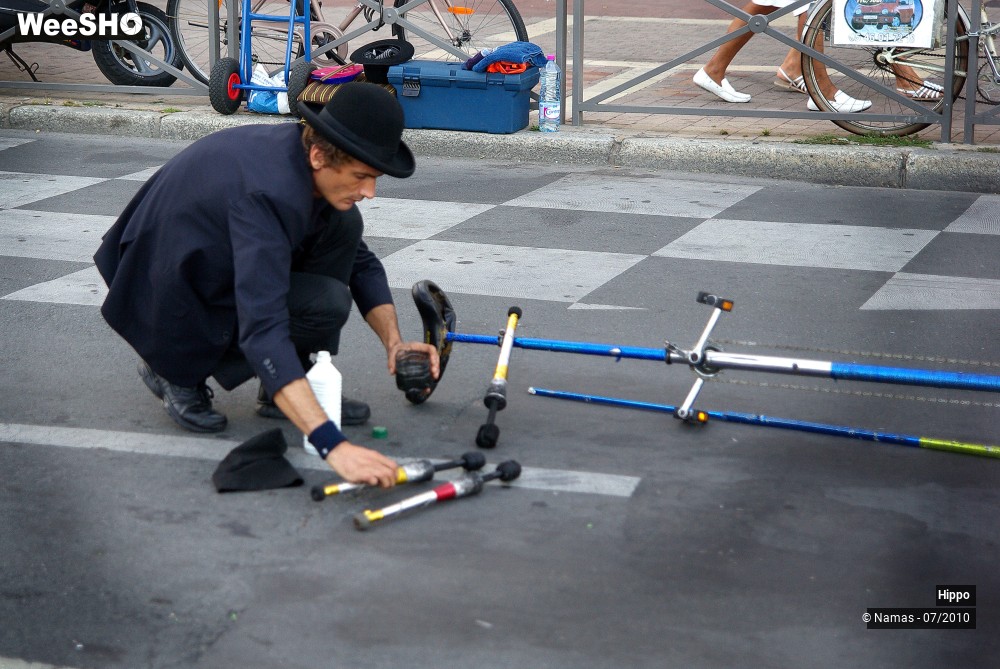 35/35 photos du spectacle Hippo