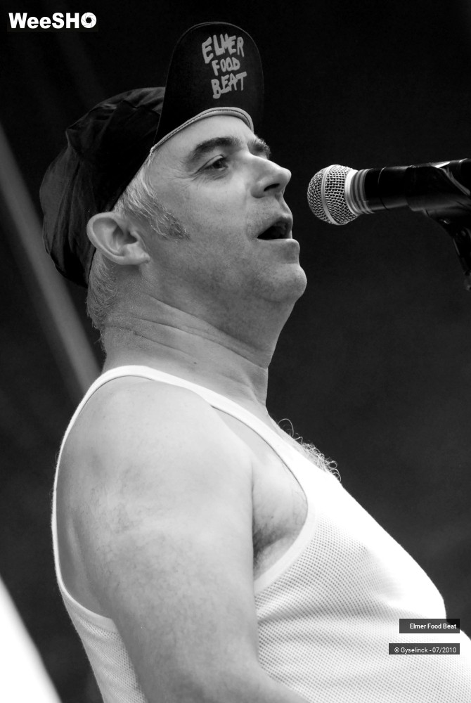 12/39 photos du spectacle Elmer Food Beat