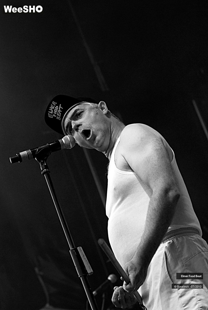 25/39 photos du spectacle Elmer Food Beat