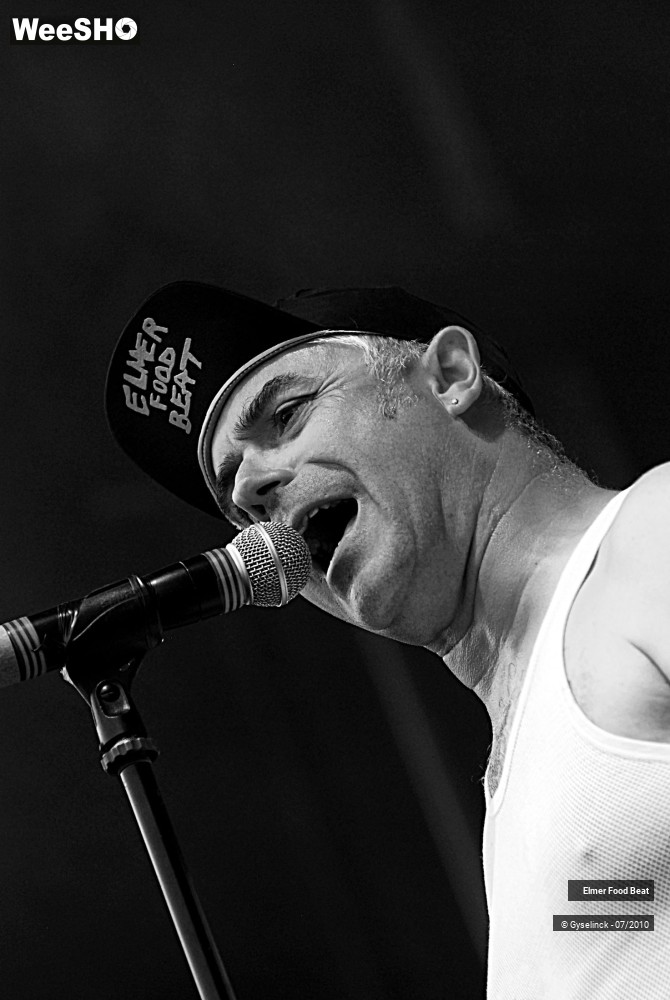 28/39 photos du spectacle Elmer Food Beat