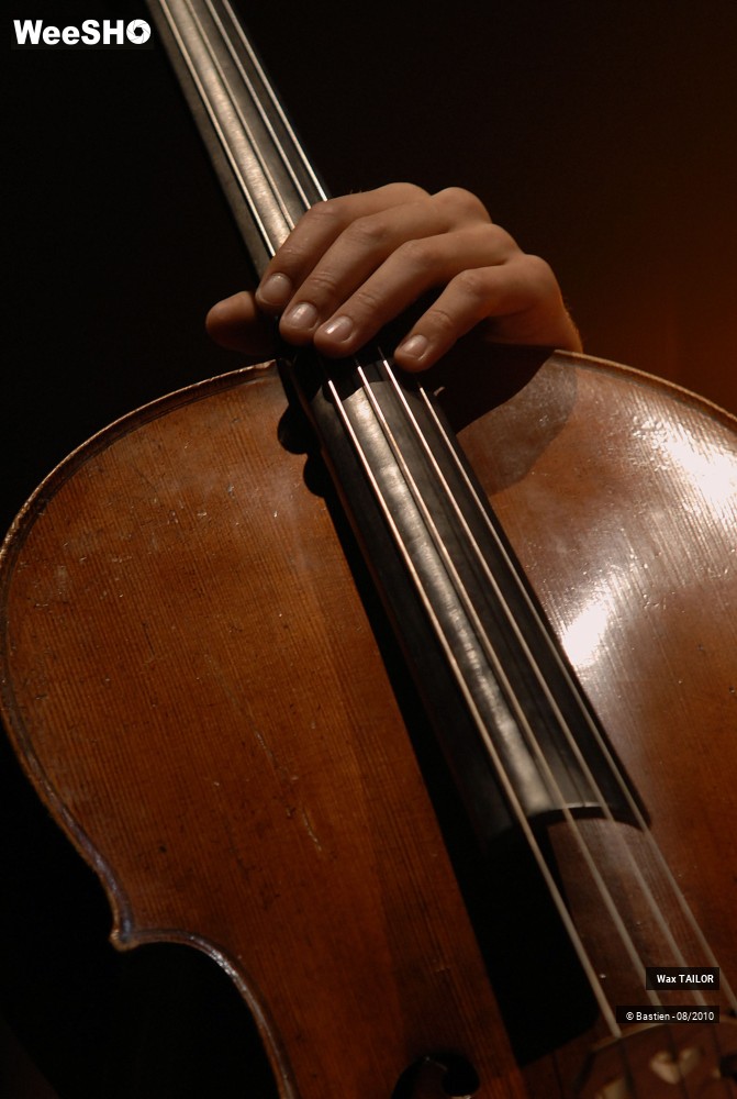 25/46 photos du spectacle Wax TAILOR