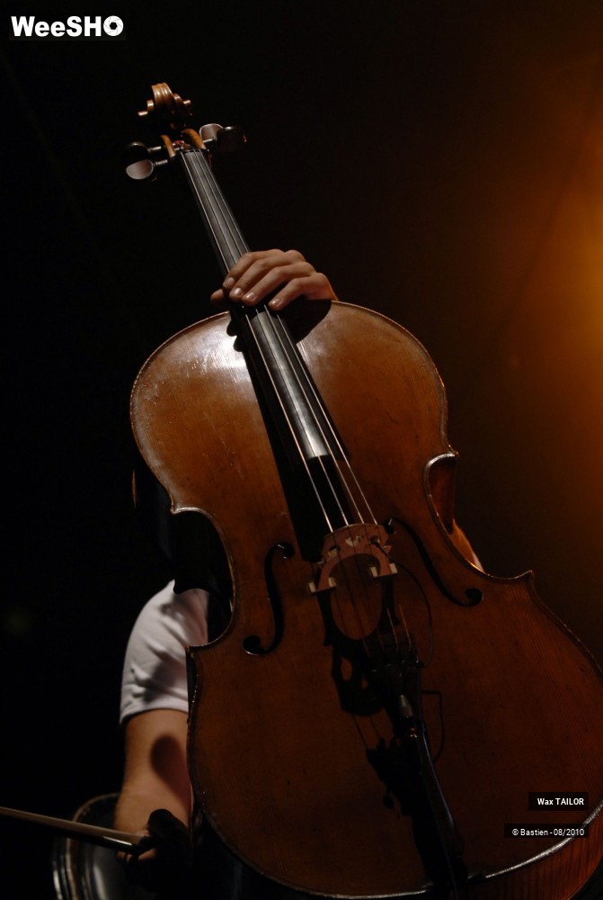 27/46 photos du spectacle Wax TAILOR