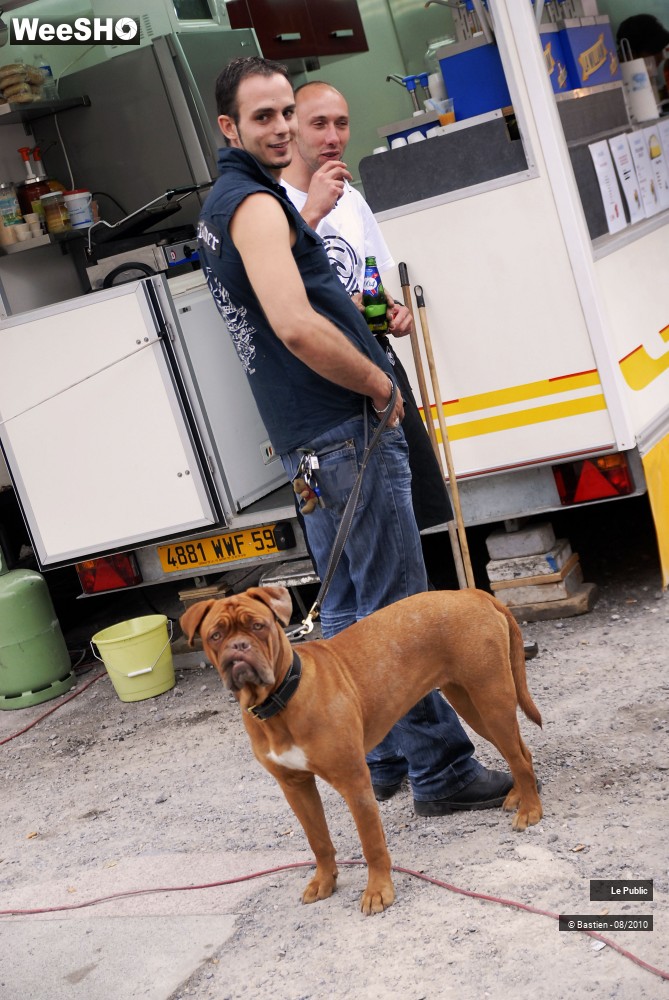 13/50 photos du spectacle Nuits Secrètes Ambiance 2